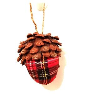 Cozy car/holiday ornament (seperate)